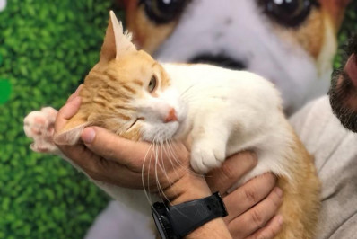 Caxias Shopping tem programação gratuita extensa no fim de semana 