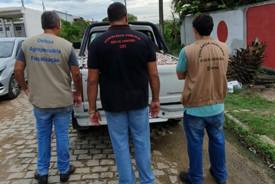Clandestinidade e falta de higiene geram interdição de frigorífico e apreensão de 920 kg de peixes