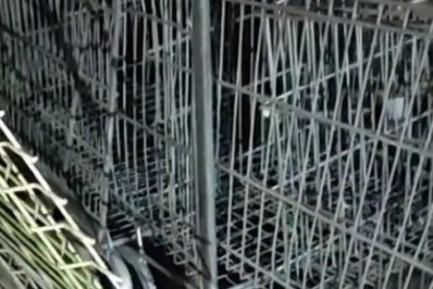 Homem preso por tentativa de estupro de vulnerável