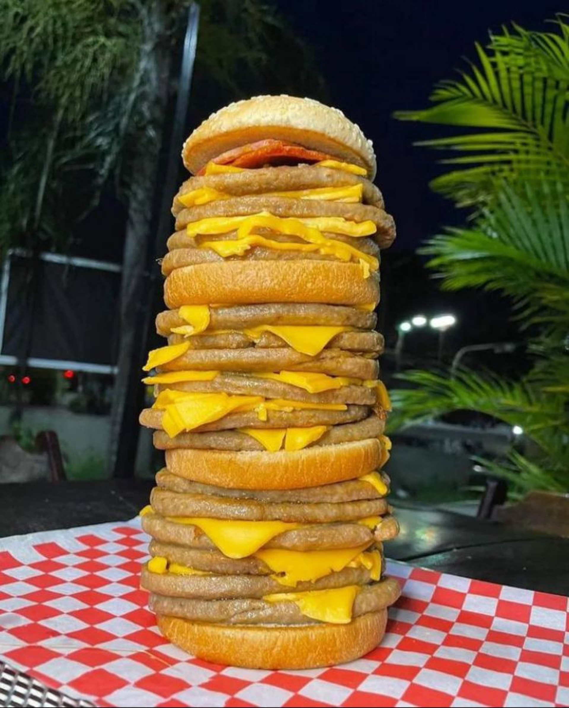 Gostosuras são atrações dos visitantes - Reprodução / Instagram