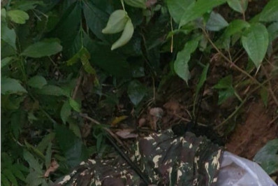 Caça ilegal de animais em Mangaratiba é denunciada ao Linha Verde