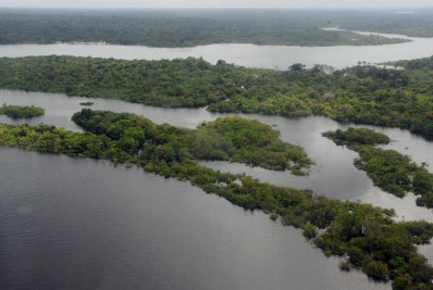 Brasileiro tem sentimento de vulnerabilidade ecológica e climática, diz estudo