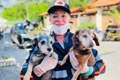 Cães foram resgatados em incêndio em residência em Maricá