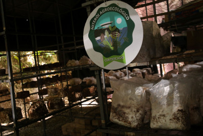 Executivo convoca produtores agroecológicos urbanos para cadastramento