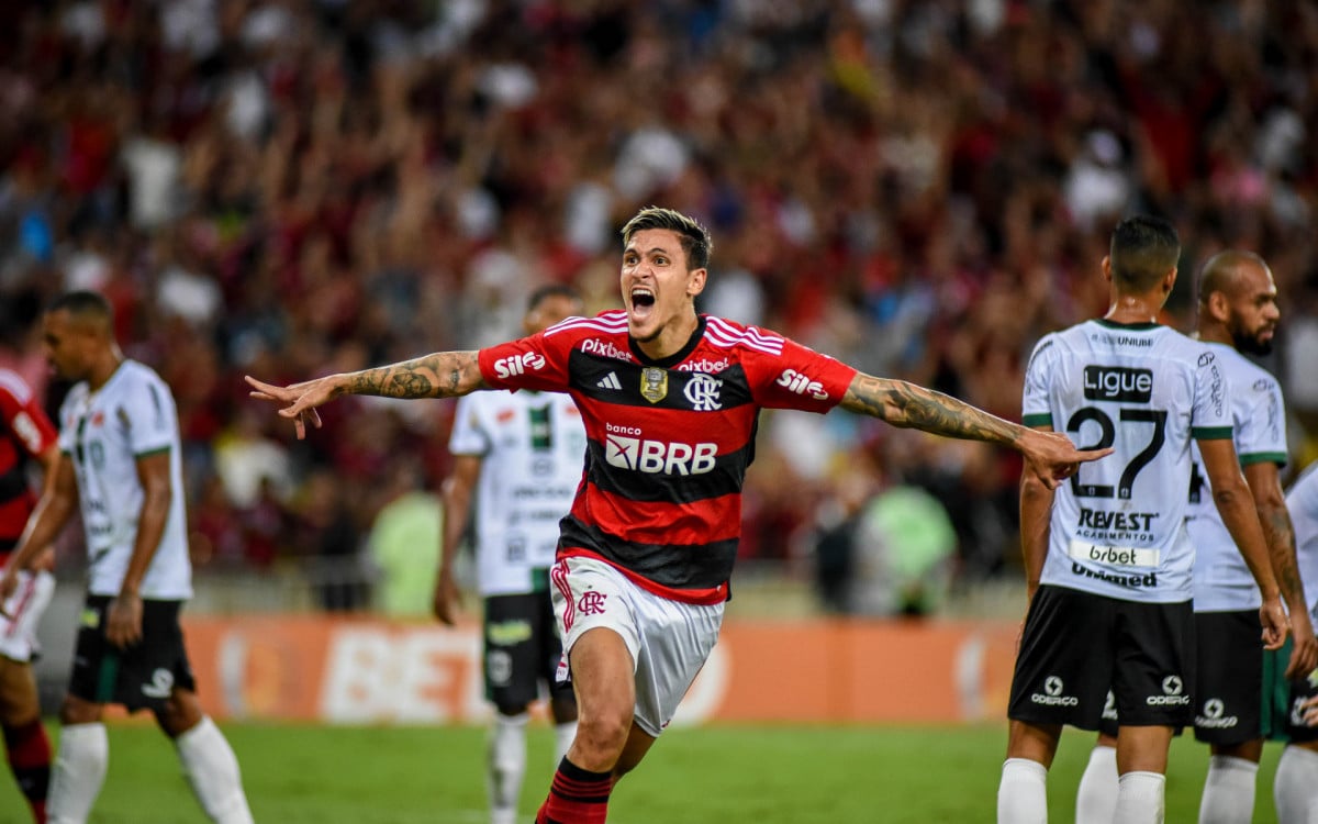 Pedro comemora gol marcado na vit&oacute;ria do Flamengo 

