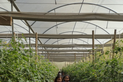 Crianças de Paty visitam estufa no Dia da Conservação do Solo