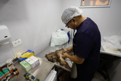 Castramóvel começa a atender nos bairros de Volta Redonda