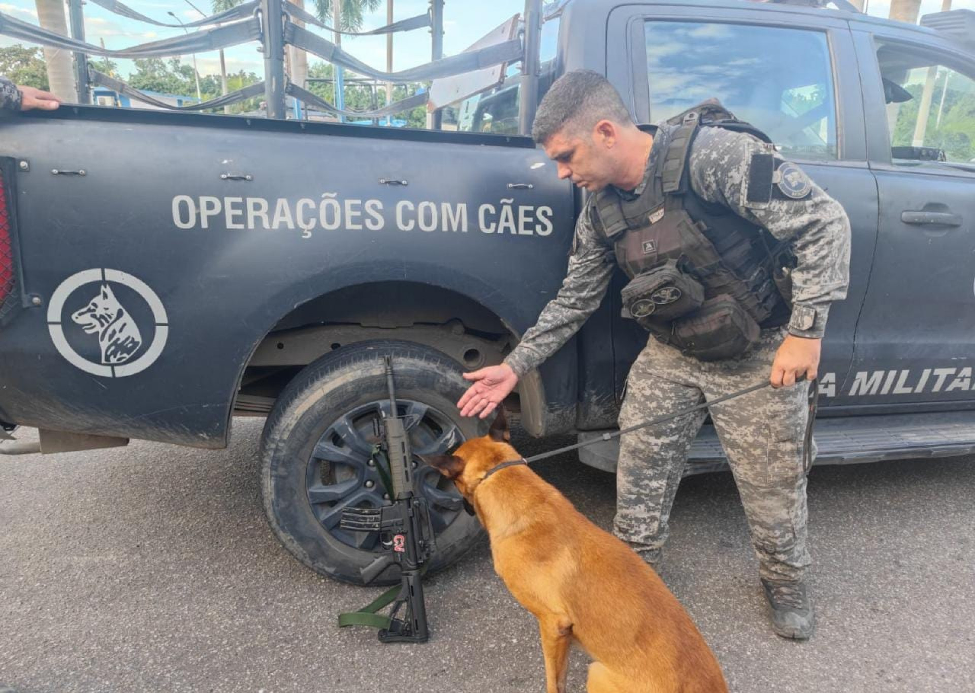 Bope apreendeu aproximadamente 315 kg de drogas - Divulgação