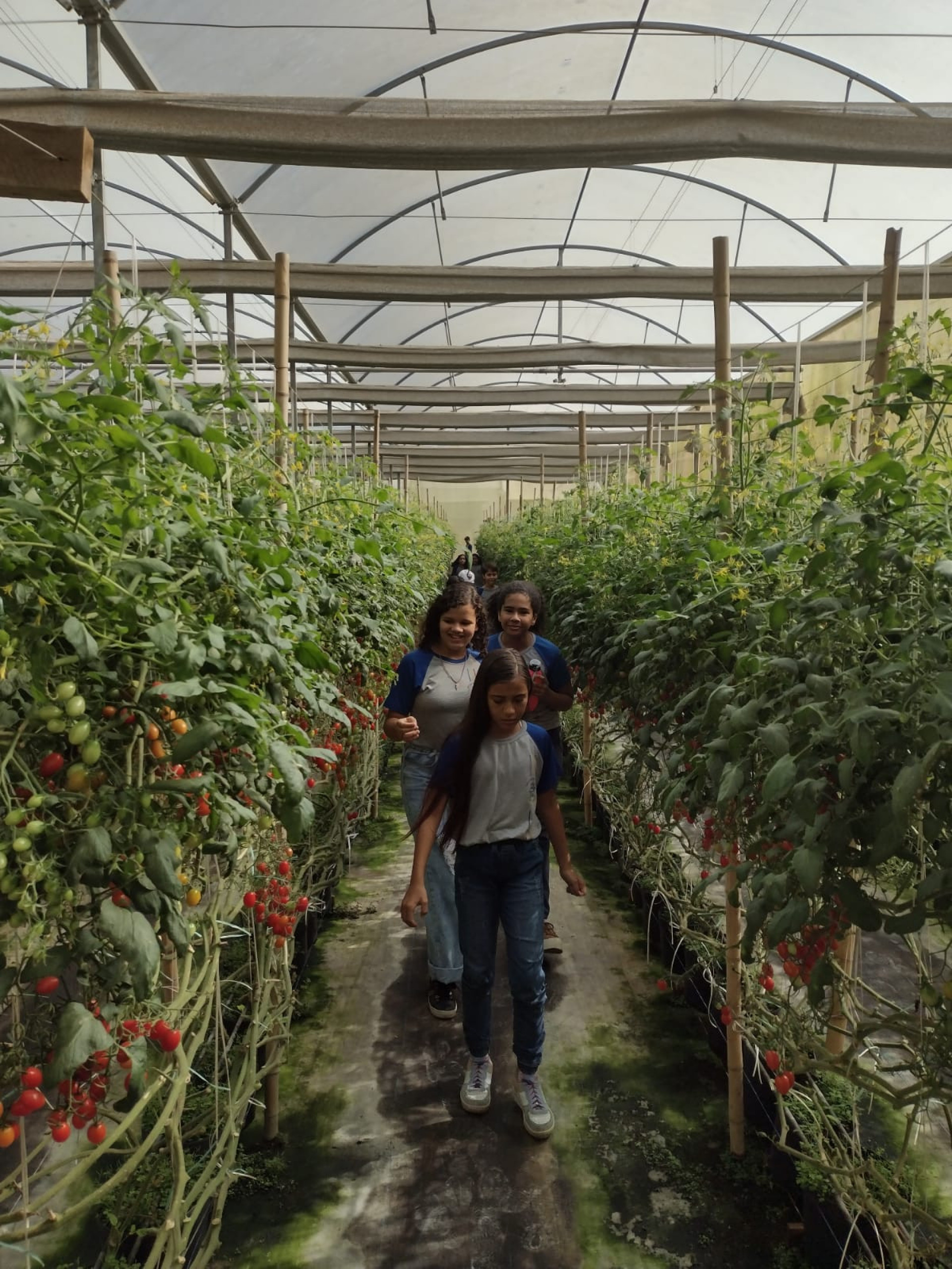 Alunos visitaram o local no último dia 15