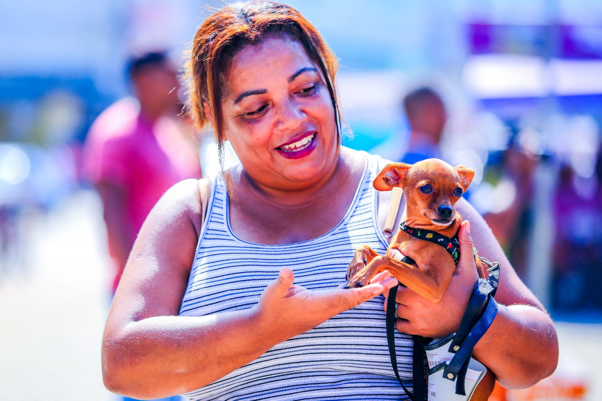 A moradora de Nova Aurora, Idécia Correia, levou seus cachorros para vacinar - Rafael Barreto / PMBR