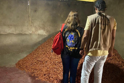 Seis toneladas de camarão estocadas em condições insalubres são apreendidas na praia do Farol