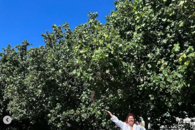 Fabiana Karla se presenteia com carro de luxo: 'Eu mereço'