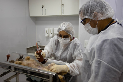 Castramóvel Volta Redonda ultrapassa 100 cirurgias em duas semanas