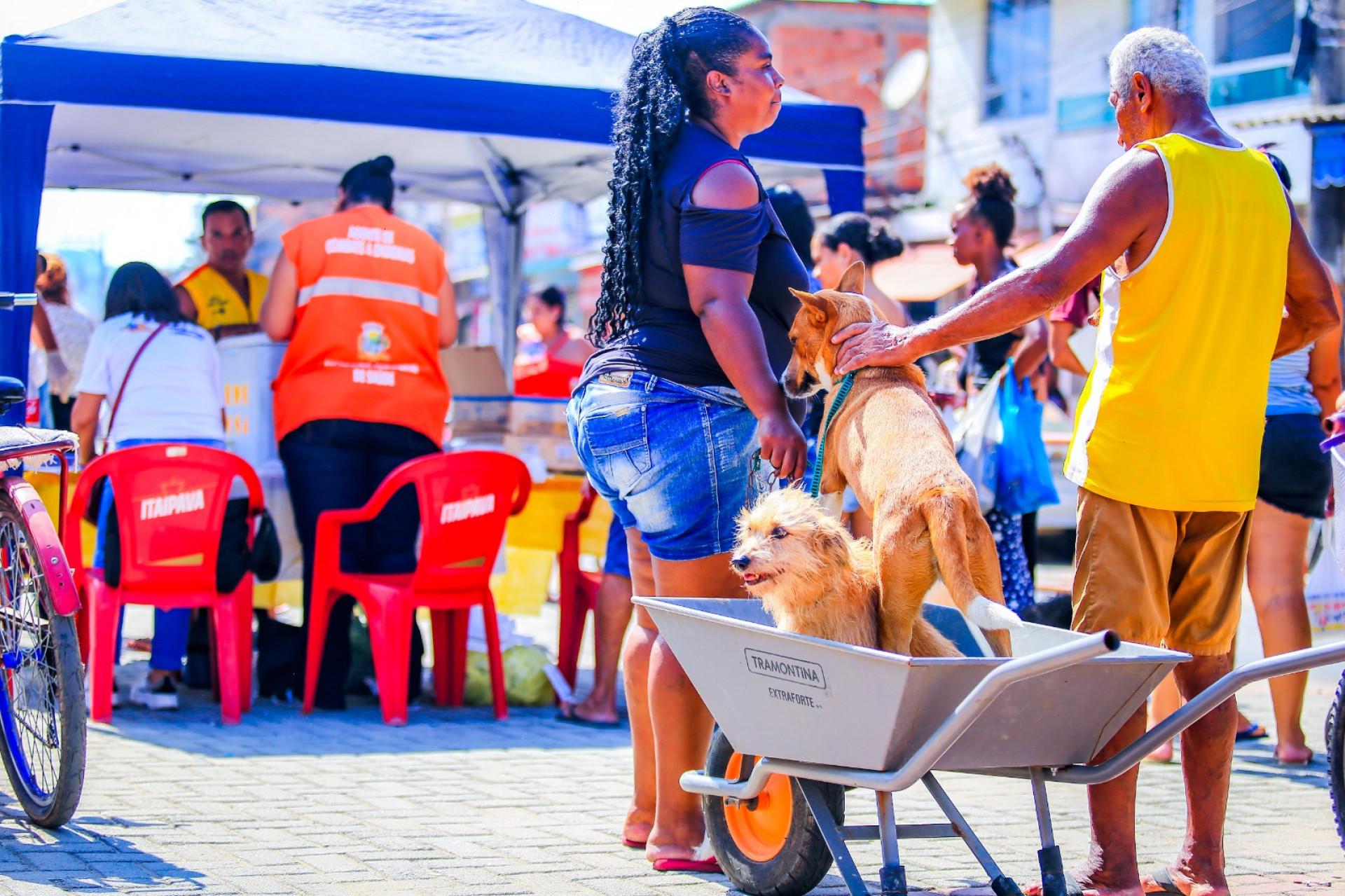 Rosiane Nascimento aproveitou a oportunidade e levou dois cachorros para vacinar - Rafael Barreto / PMBR