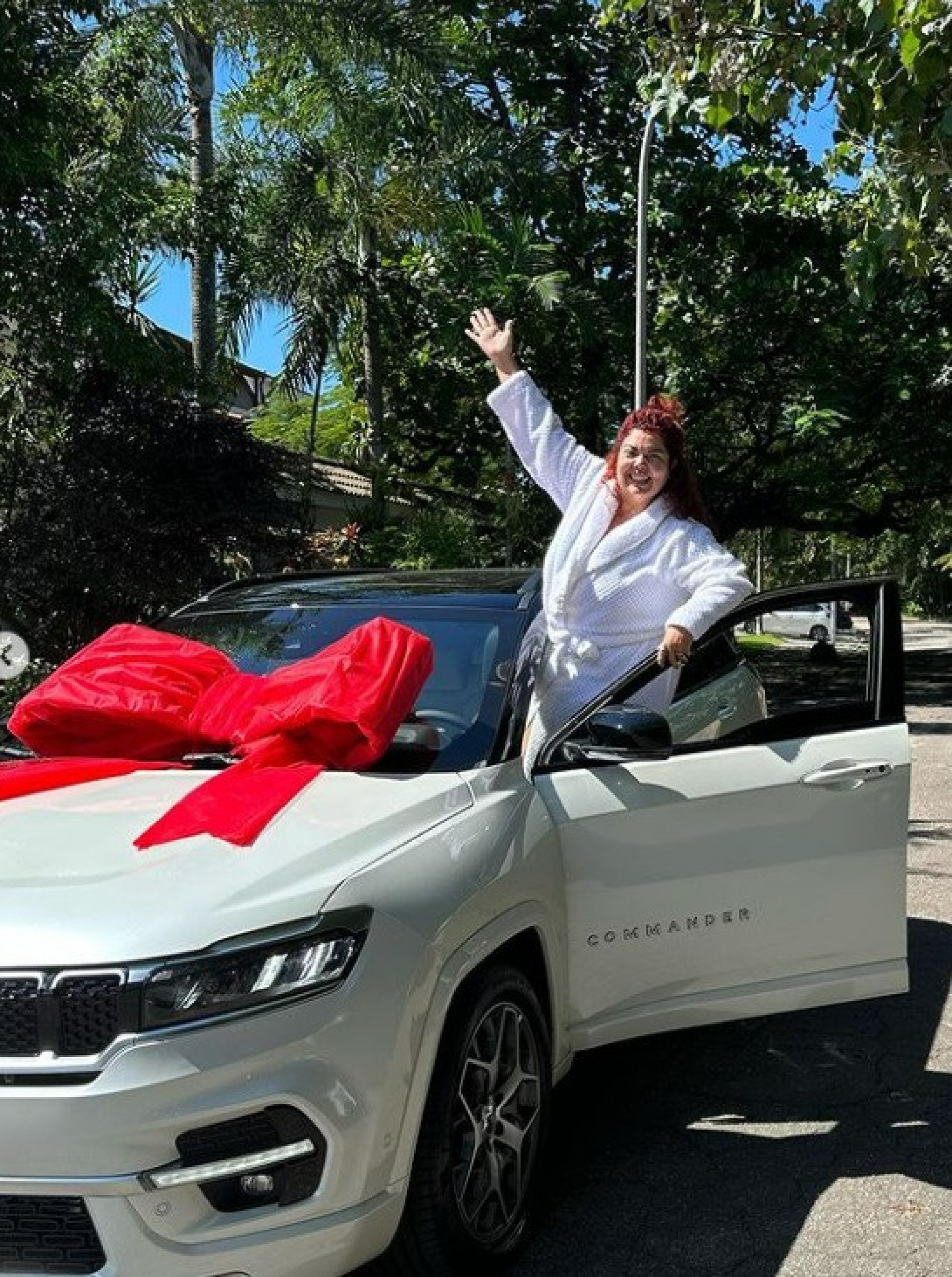 Fabiana Karla mostra seu novo carro nas redes sociais - Reprodução do Instagram