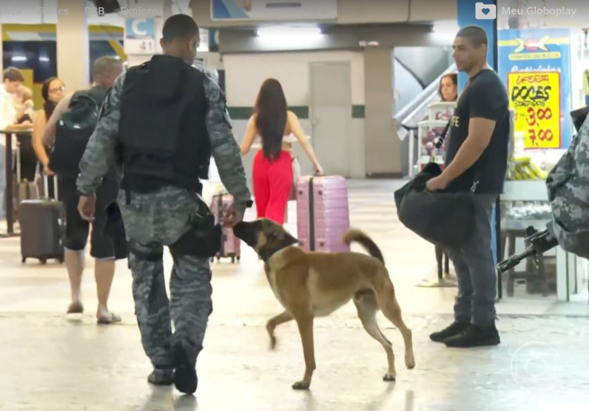 Cachorro da PM ajuda em buscas de algo ilícito na rodoviária do Centro do Rio - Reprodução de vídeo / TV Globo