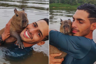 Ibama nega devolução de Filó a influenciador após determinação da Justiça