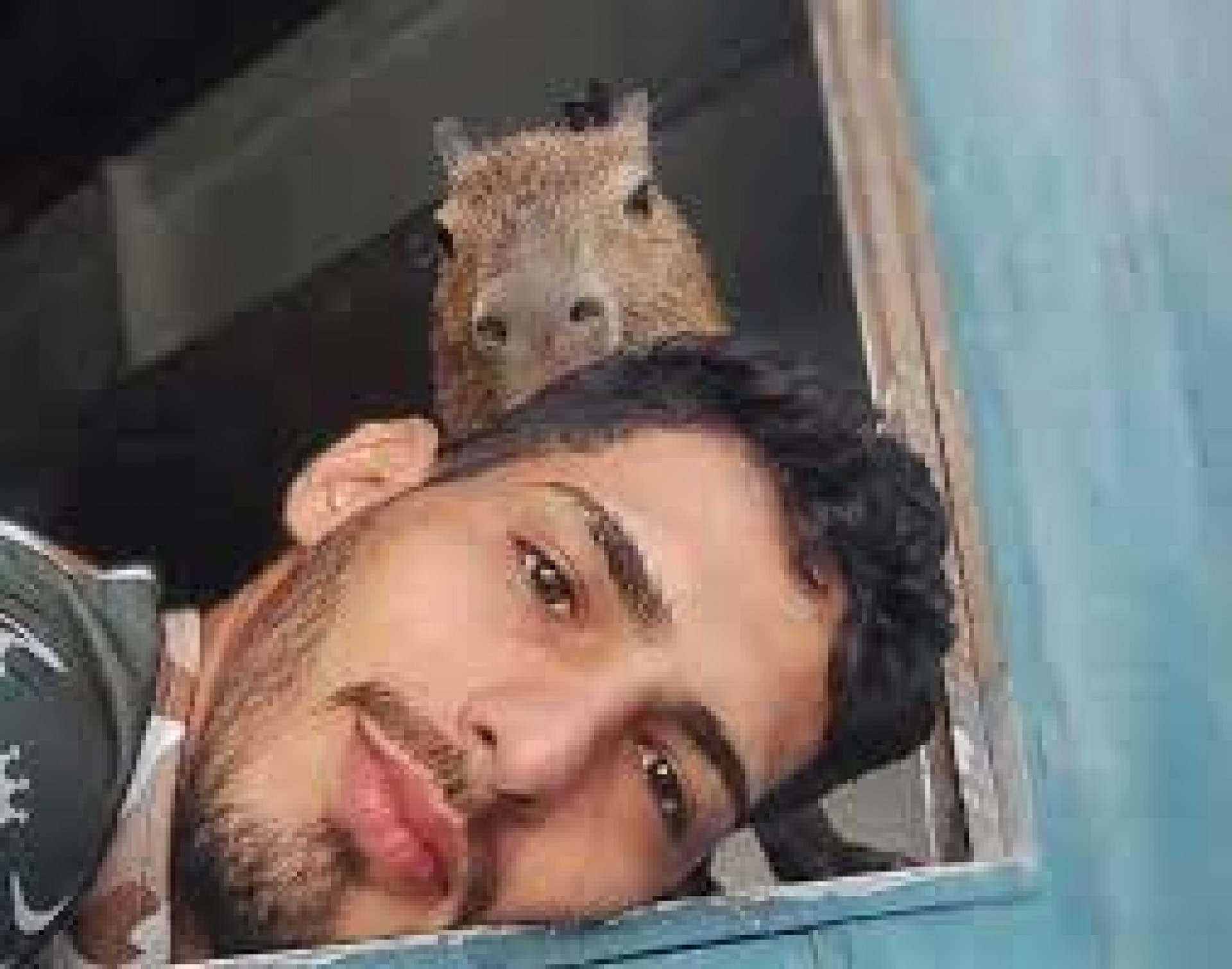 Capivara Filó e Agenor - Foto Reprodução Internet