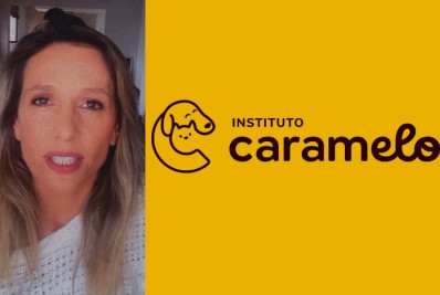 Instituto Luisa Mell muda de nome e faz revelação sobre ativista: 'Nunca doou dinheiro algum'