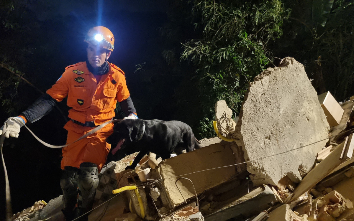 Operação contou com cães de busca e resgate do canil da corporação