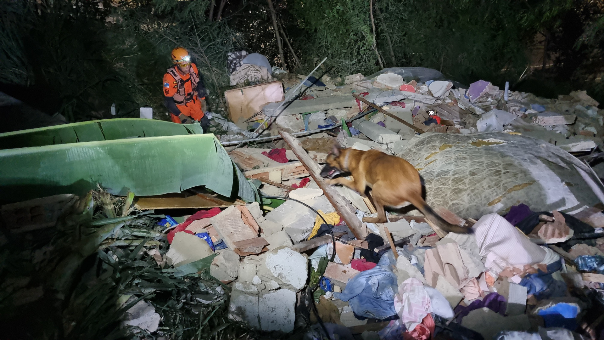 Operação contou com cães de busca e resgate do canil da corporação - Divulgação/CBMERJ