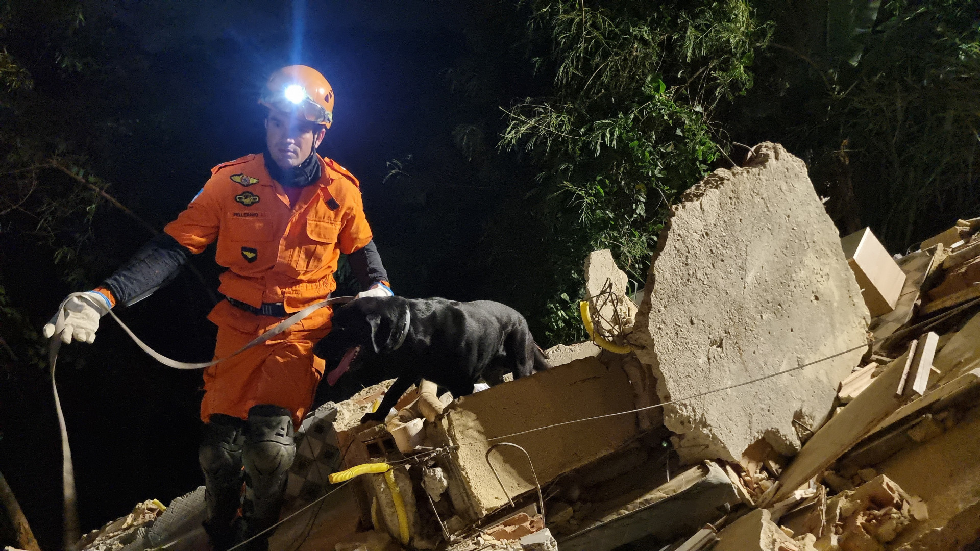 Operação contou com cães de busca e resgate do canil da corporação - Divulgação/CBMERJ