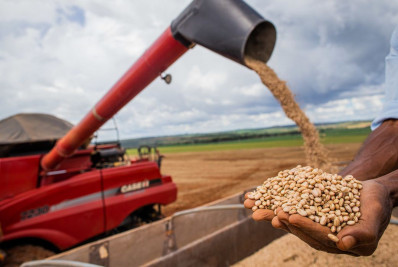 Vendas do agro ao exterior atingem US$ 11,7 bi no mês de janeiro