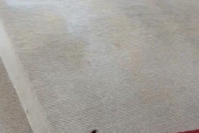 Vídeo! Barata rouba a cena no MET Gala e internautas se divertem