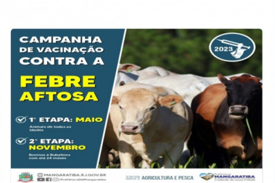 Campanha de vacinação contra Febre Aftosa