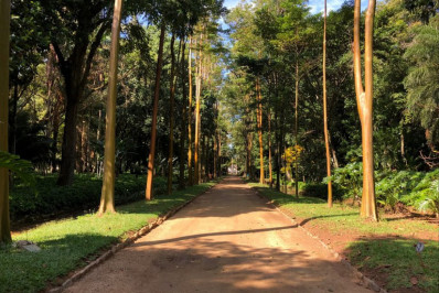 Ingresso para visitação do Jardim Botânico sofre reajuste