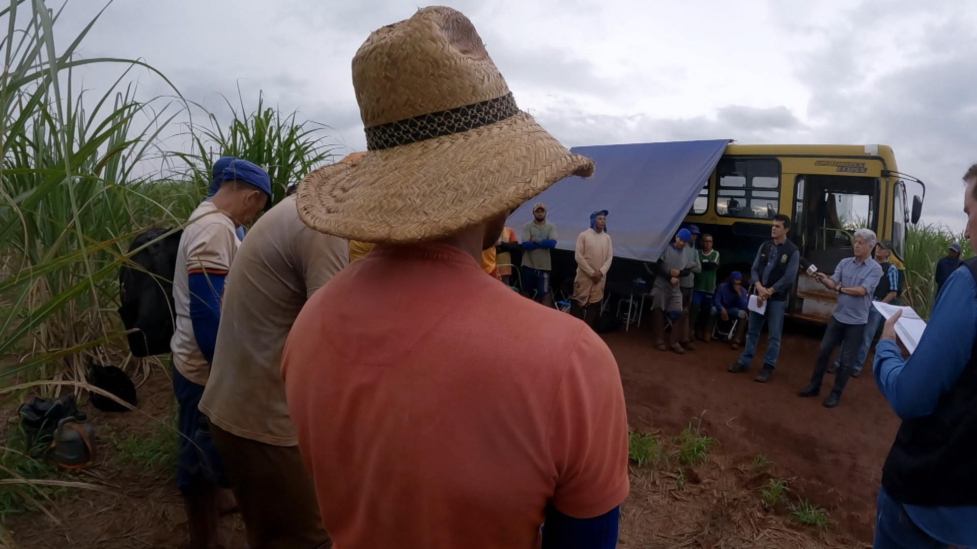 Profissão Repórter flagra ações de combate ao trabalho análogo à escravidão - Reprodução/Globo
