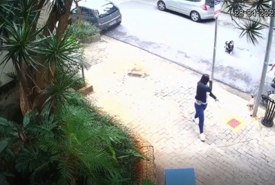 Polícia tenta identificar motorista que atropelou passeador e cinco cães em SP