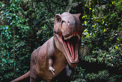 Miguel Pereira se consolida como um dos destinos mais procurados 