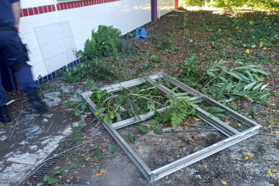 Guarda Comunitária flagra furto em escola desativada e prende suspeito