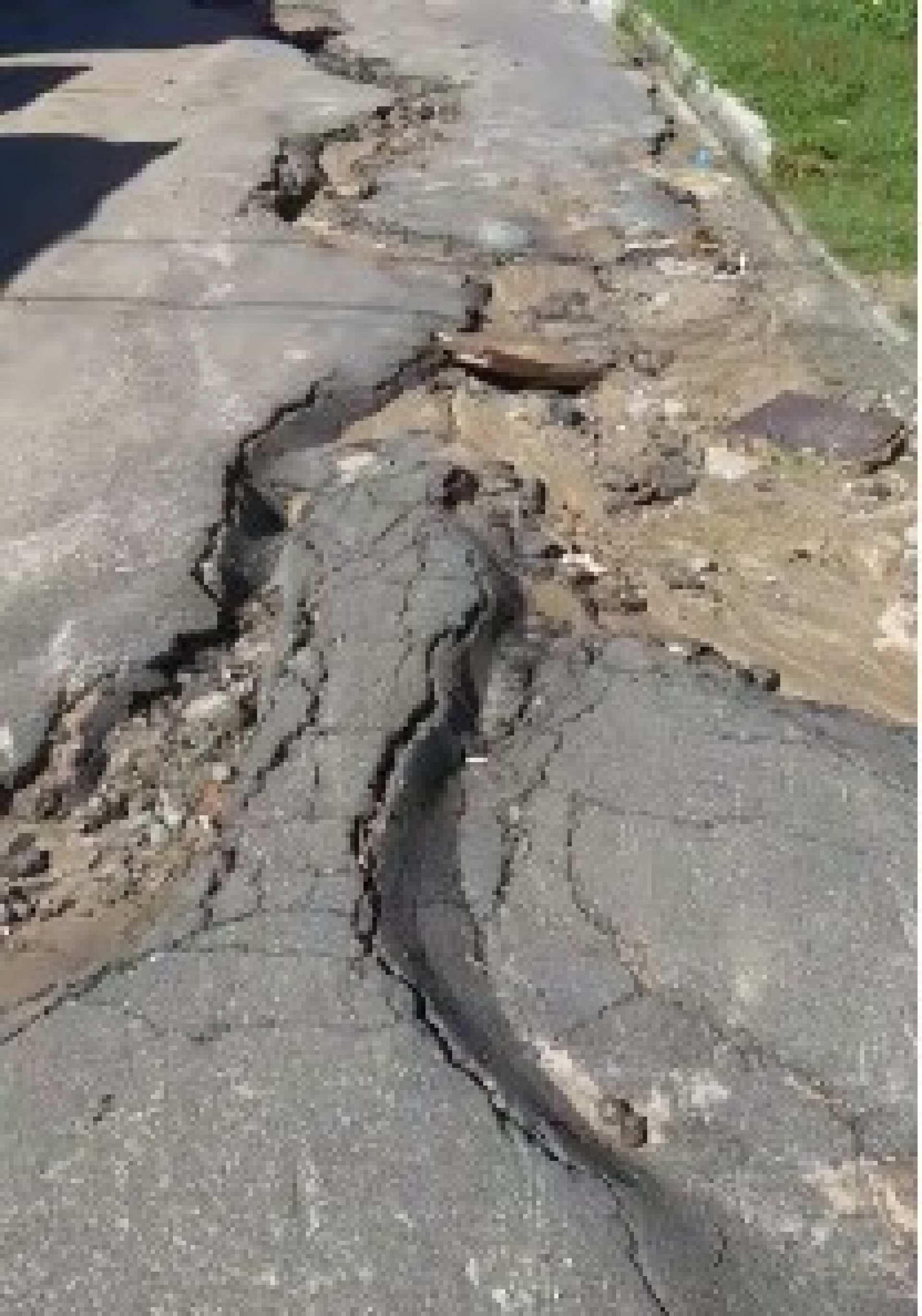 foto: Divulga&ccedil;&atilde;o