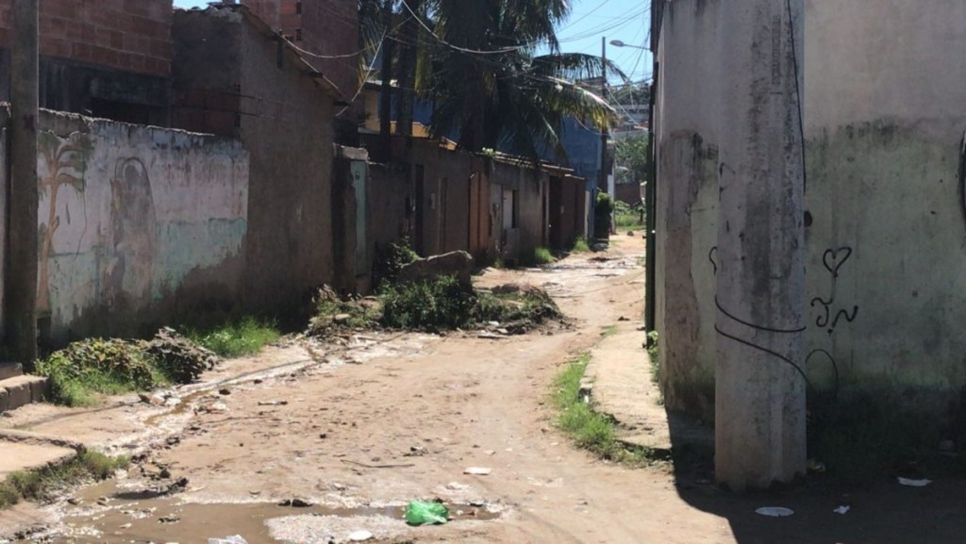 foto:Divulgação - Letycia Rocha (RC24h)