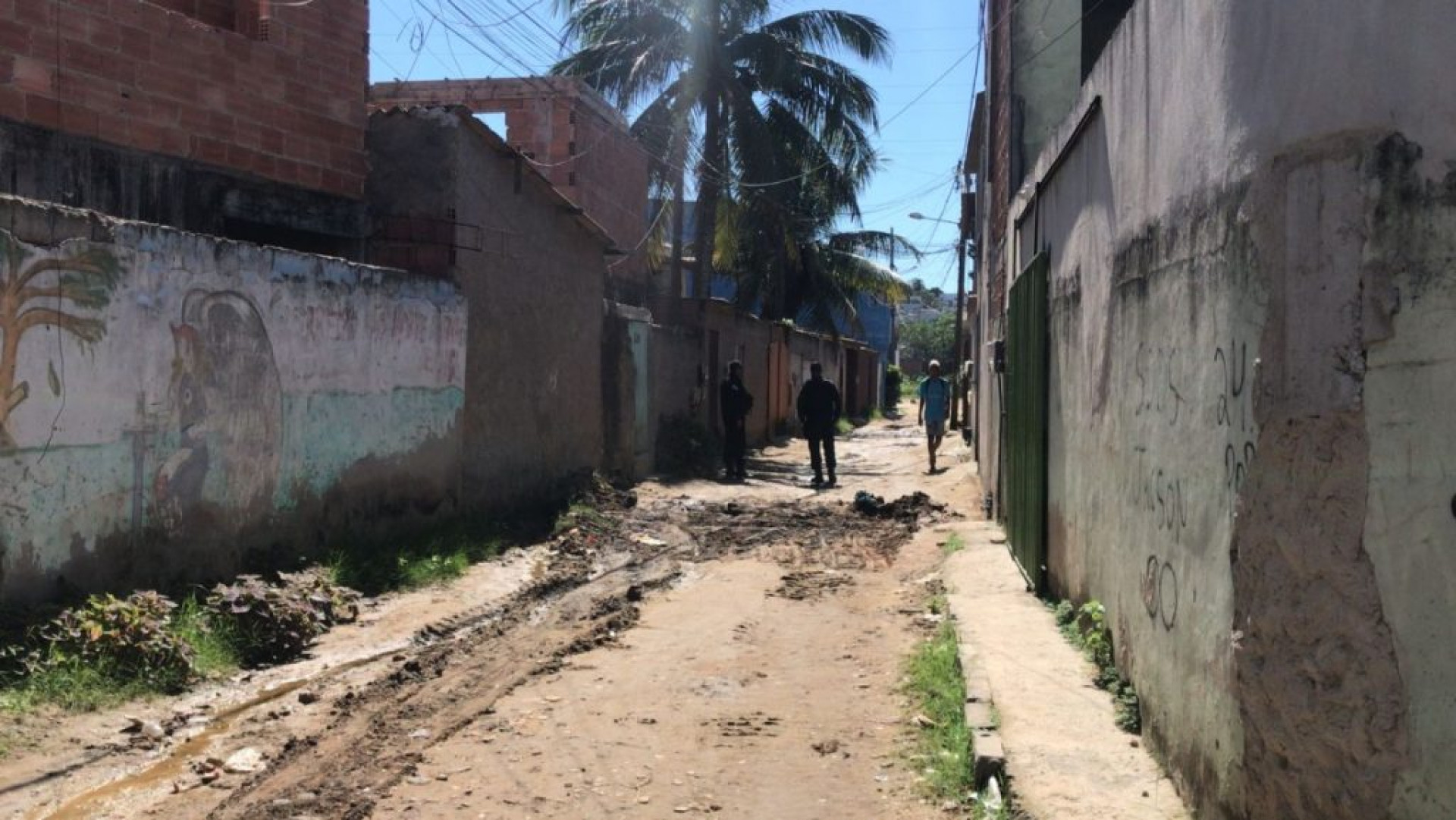 foto:Divulgação - Letycia Rocha (RC24h)