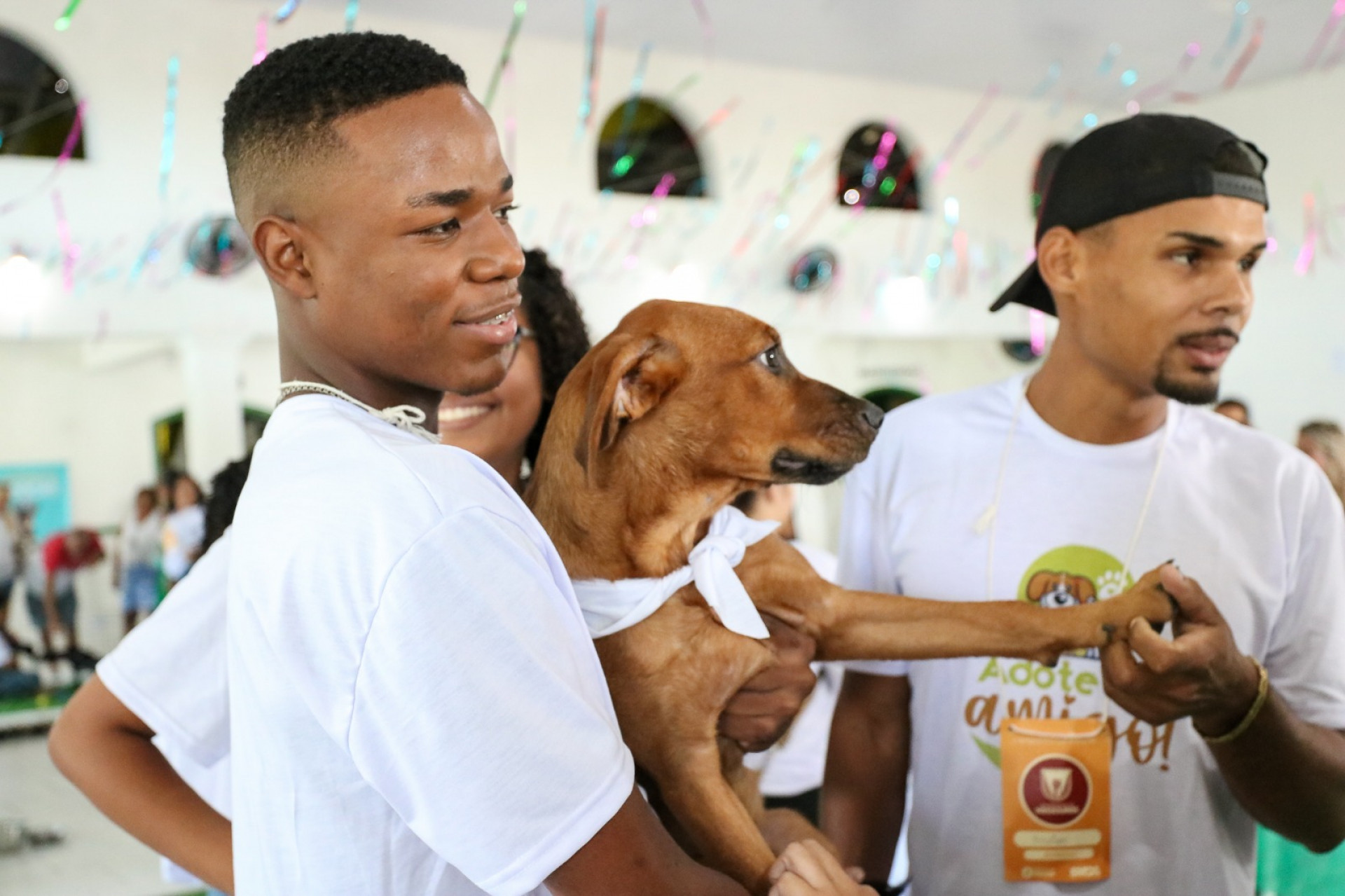 Prefeitura de Saquarema realiza primeira edição da campanha de adoção de animais domésticos no município - Divulgação/Prefeitura de Saquarema