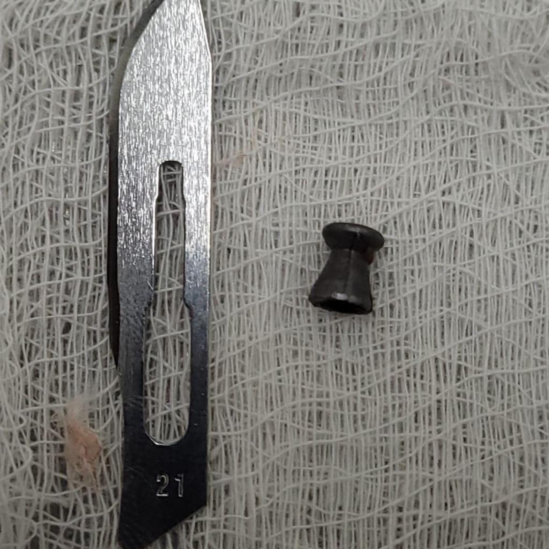 Ave atingida por tiro de chumbinho foi resgatada pela Guarda Ambiental de Barra Mansa, no Boa Vista II