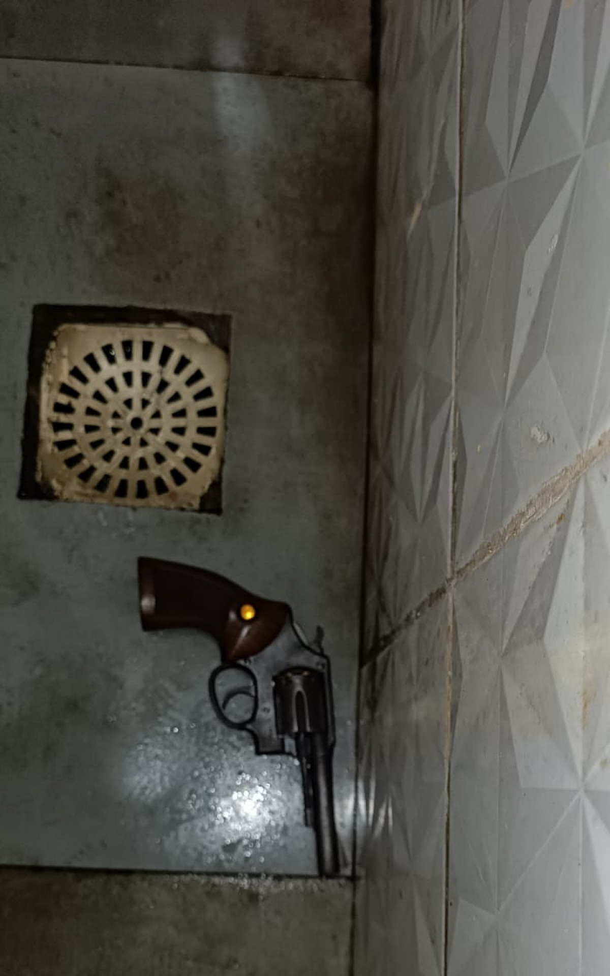 Na ação, o veículo e a arma utilizados no crime foram apreendidos - Divulgação