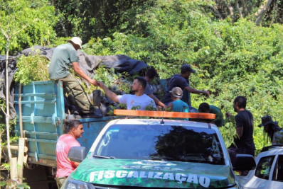 Cabo Frio recebe 21 mil mudas de árvores nativas para reflorestamento do Parque do Mico-Leão-Dourado