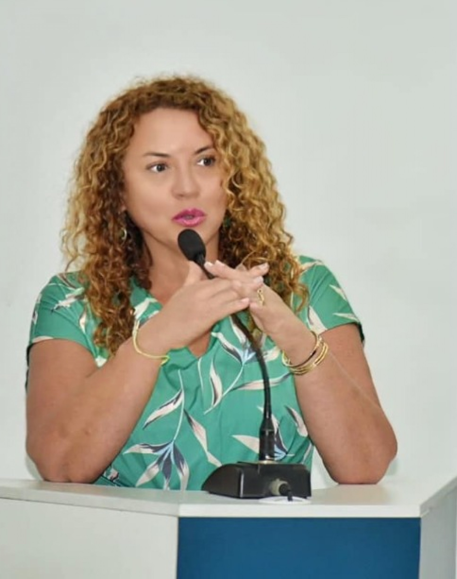 Deputada Zeidan (PT) - Andréa Reys (RC24h)