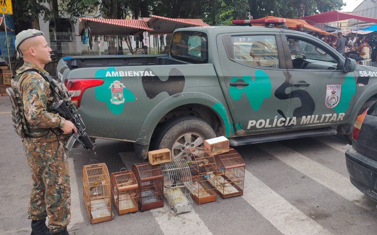 Em Realengo, a PM apreendeu 11 pássaros silvestres - Divulgação/Polícia Militar