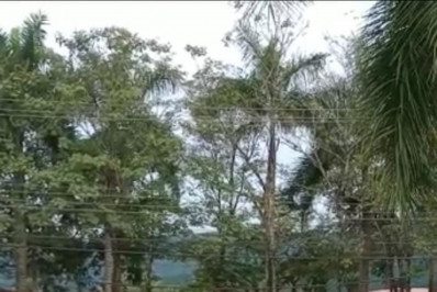 Polícia Civil prende homem de 42 anos foragido em Paraty