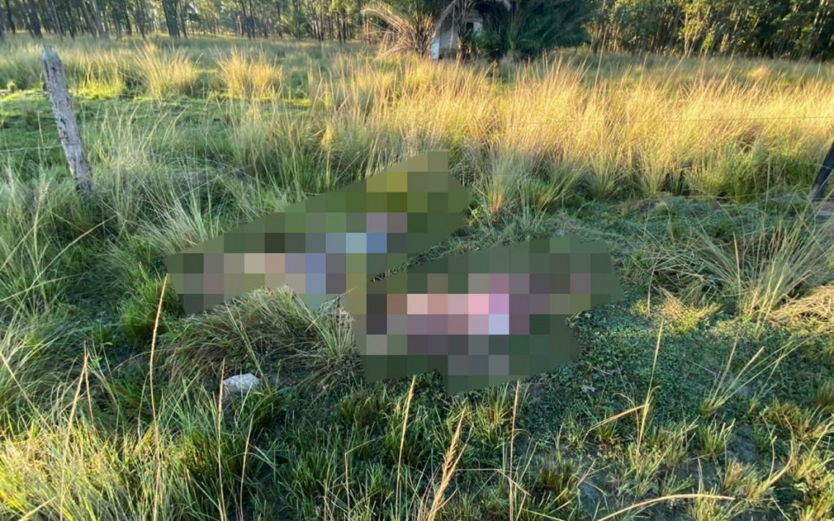 Os corpos foram encontrados em uma &aacute;rea de mata da regi&atilde;o - Divulga&ccedil;&atilde;o