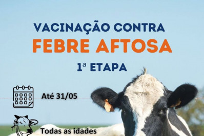 Campanha de Vacinação contra a febre aftosa vai até o final de maio