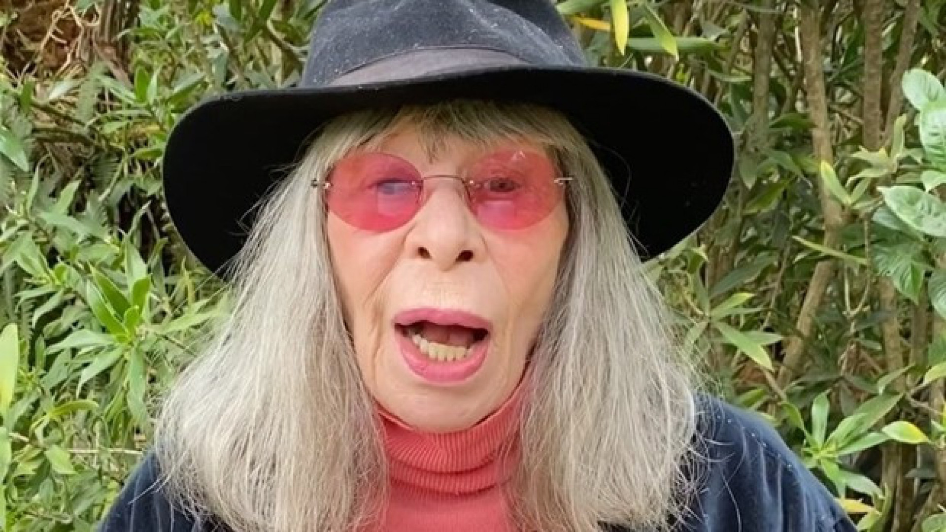 Rita Lee morreu, na última segunda-feira, aos 75 anos  - Reprodução/Internet