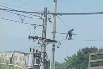 Vídeo flagra homem furtando cabos de energia à luz do dia na Zona Norte