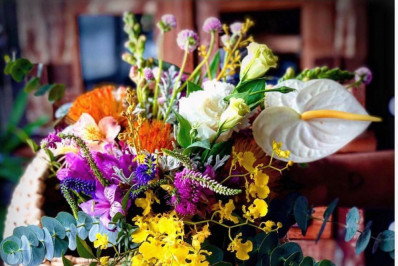 Exposição gratuita de plantas e arranjos na Barra