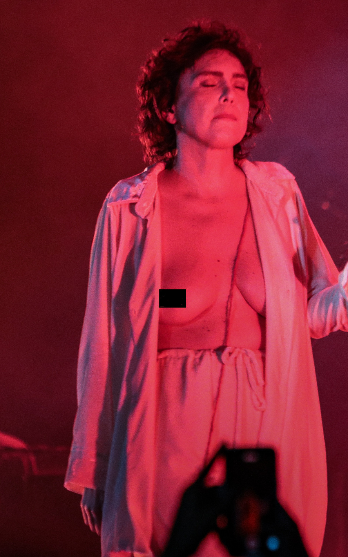 Adriana Calcanhoto mostra os seios durante show no Rio